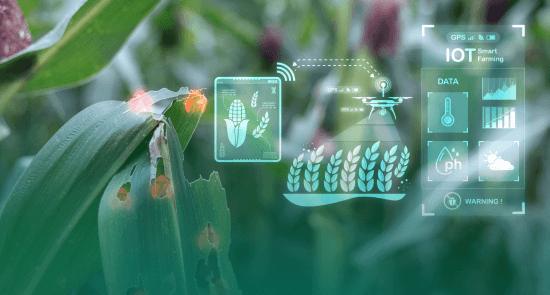 What Is the Role of IoT in Agriculture?